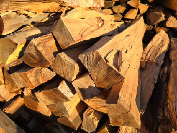 Hartholz Brennholz – Buche