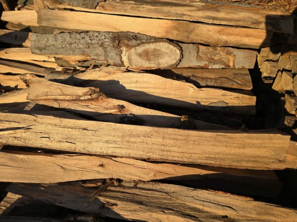Hartholz Brennholz – Buche – Bild 2