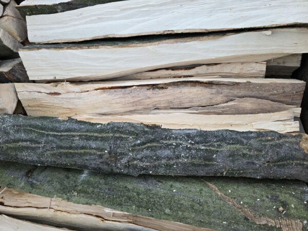 Hartholz Brennholz – Hainbuche