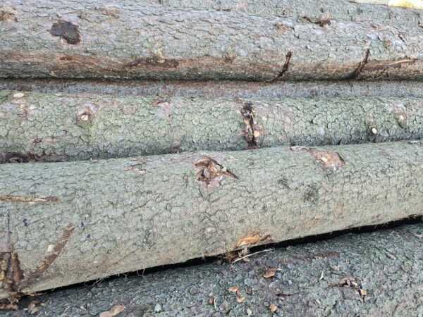 Weiches Brennholz – Fichte – Bild 2